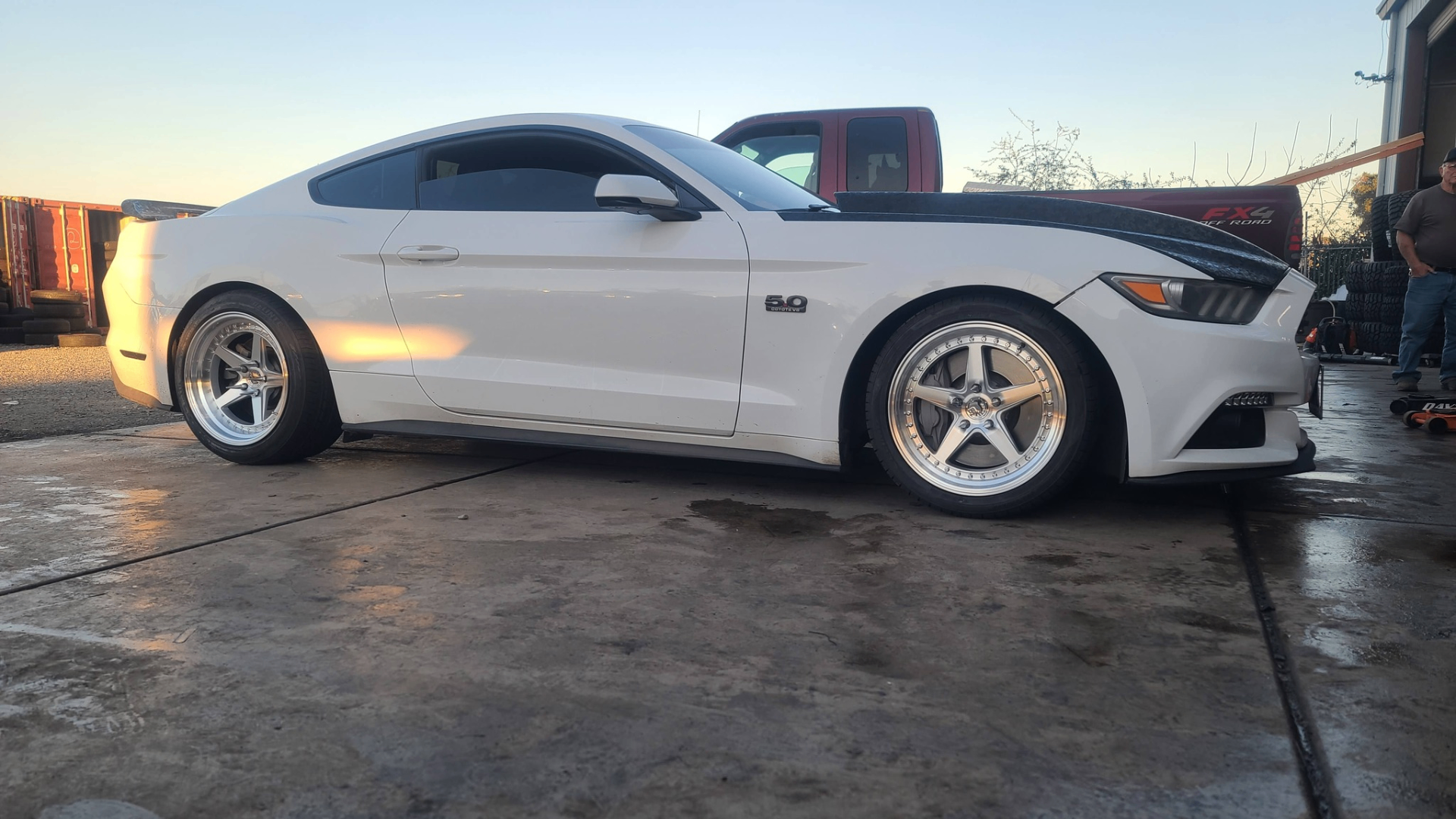 Mustang 5.0